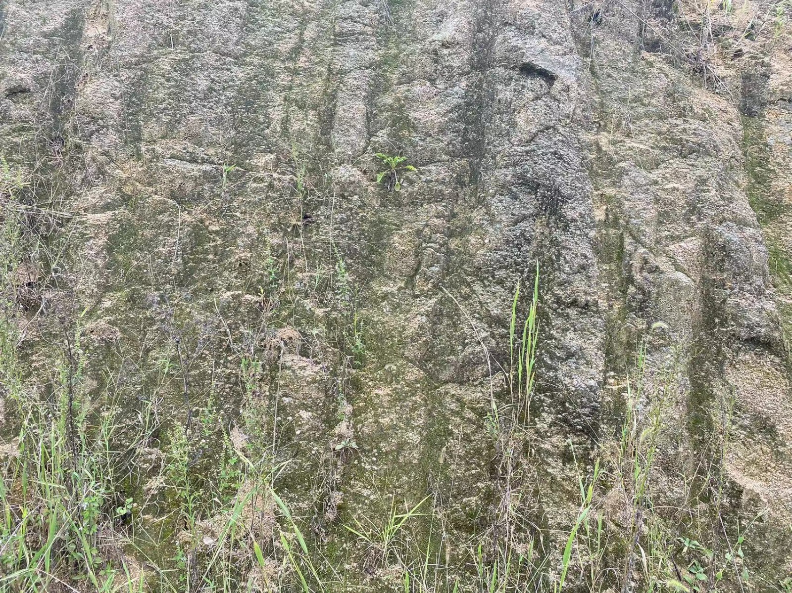 /Upload/Product/84ffe069648f46f9ab74c583bb5332ab.jpg?width=272&height=203&bgcolor=fff