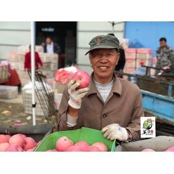 /Upload/Product/8571f58d010b411a8b7b62ed0fb296b2.jpg?width=272&height=203&bgcolor=fff