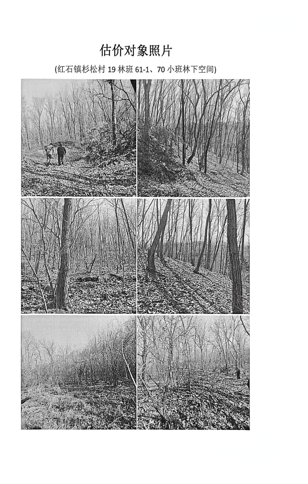 /Upload/Product/88572421edf24f13b4c11e14ccc7b35f.jpg?width=200&height=148&bgcolor=fff