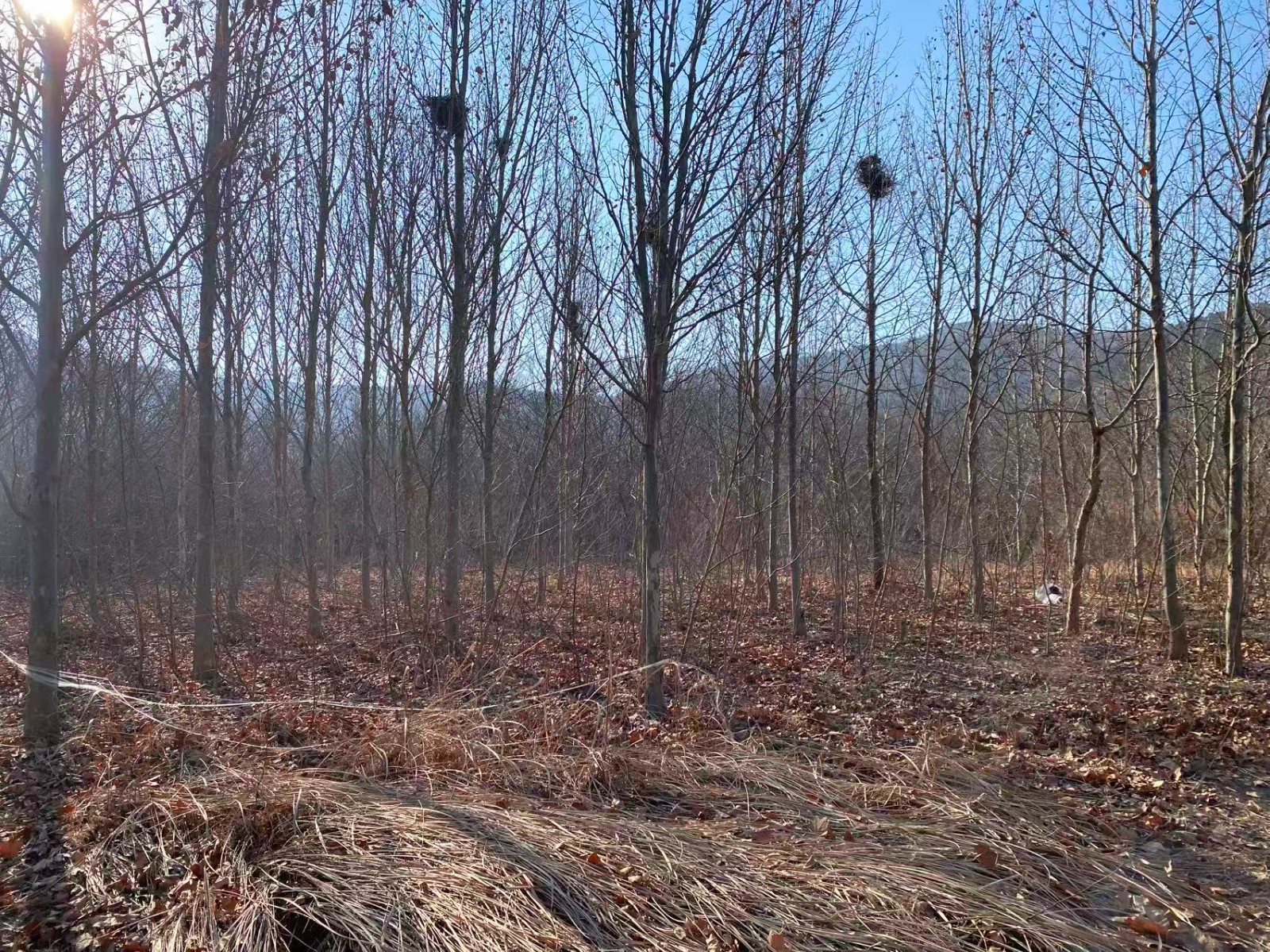 /Upload/Product/8ba94870b38f42febc5530db63e00582.jpg?width=200&height=148&bgcolor=fff