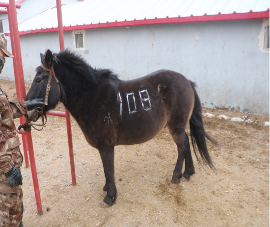 /Upload/Product/94809a3e1a9f4aaeb63cd68a5314d02e.png?width=272&height=203&bgcolor=fff