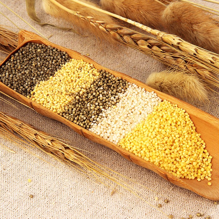 拍卖中已认证 五色小米 当前价:￥ 128.00 加价幅度:￥10.