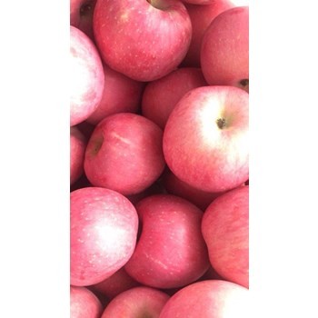 /Upload/Product/9a634e8c42f34bef8f383337fbdb6ad1.jpg?width=272&height=203&bgcolor=fff