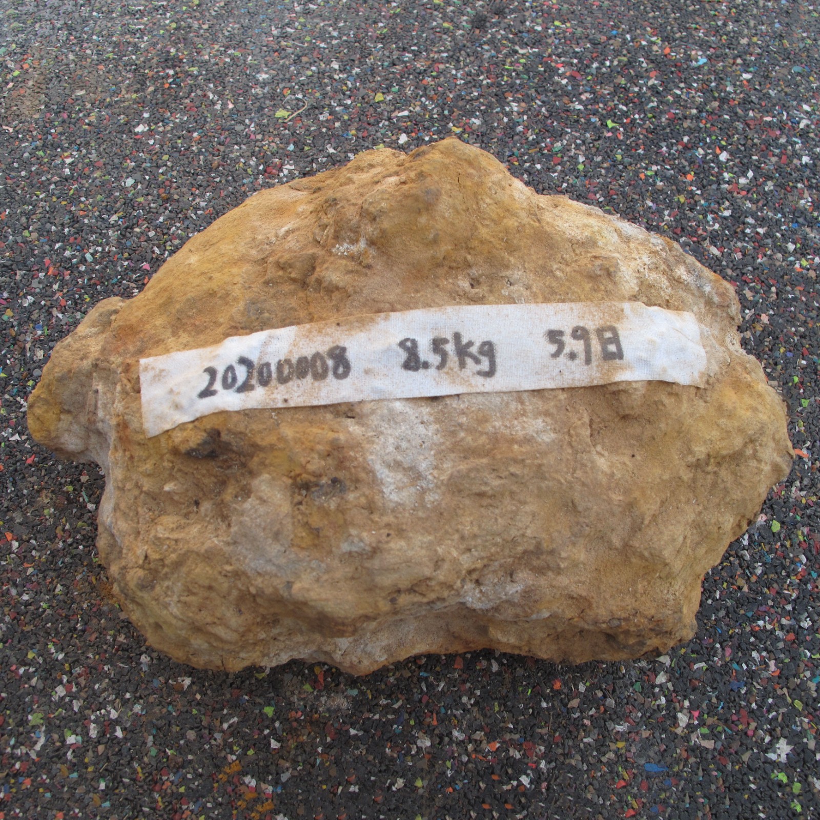 /Upload/Product/9e5e998cde2548c6b3aa388510b7db49.JPG?width=272&height=203&bgcolor=fff