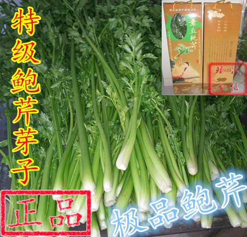 /Upload/Product/9f908c61ba4547ba8701bdc55cd3b852.jpg?width=200&height=148&bgcolor=fff