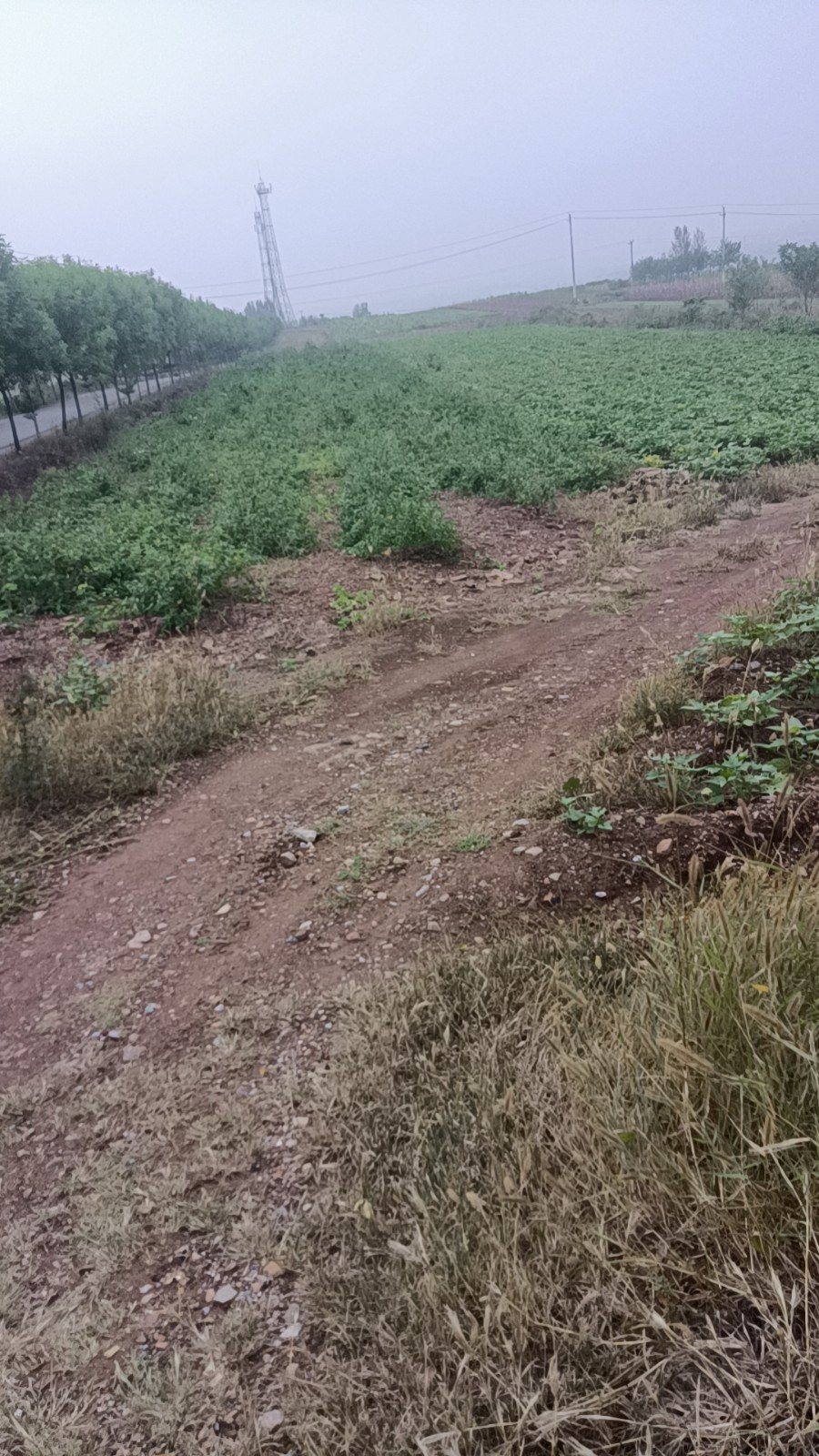 /Upload/Product/9ffd635bf27449e0a1dd150f2189ee4f.jpg?width=272&height=203&bgcolor=fff