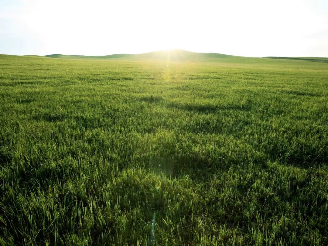 /Upload/Product/a9167fef1f2b4dd380f29633915be525.jpg?width=272&height=203&bgcolor=fff