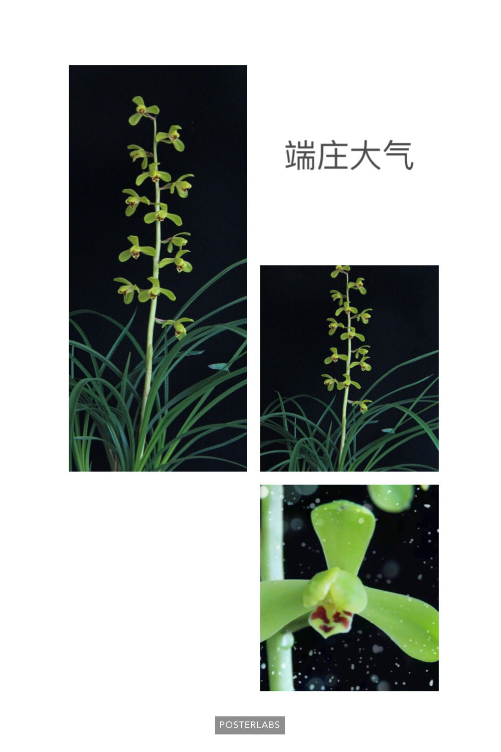 /Upload/Product/aa2355df91384adc8a65eba9d5c41892.png?width=272&height=203&bgcolor=fff