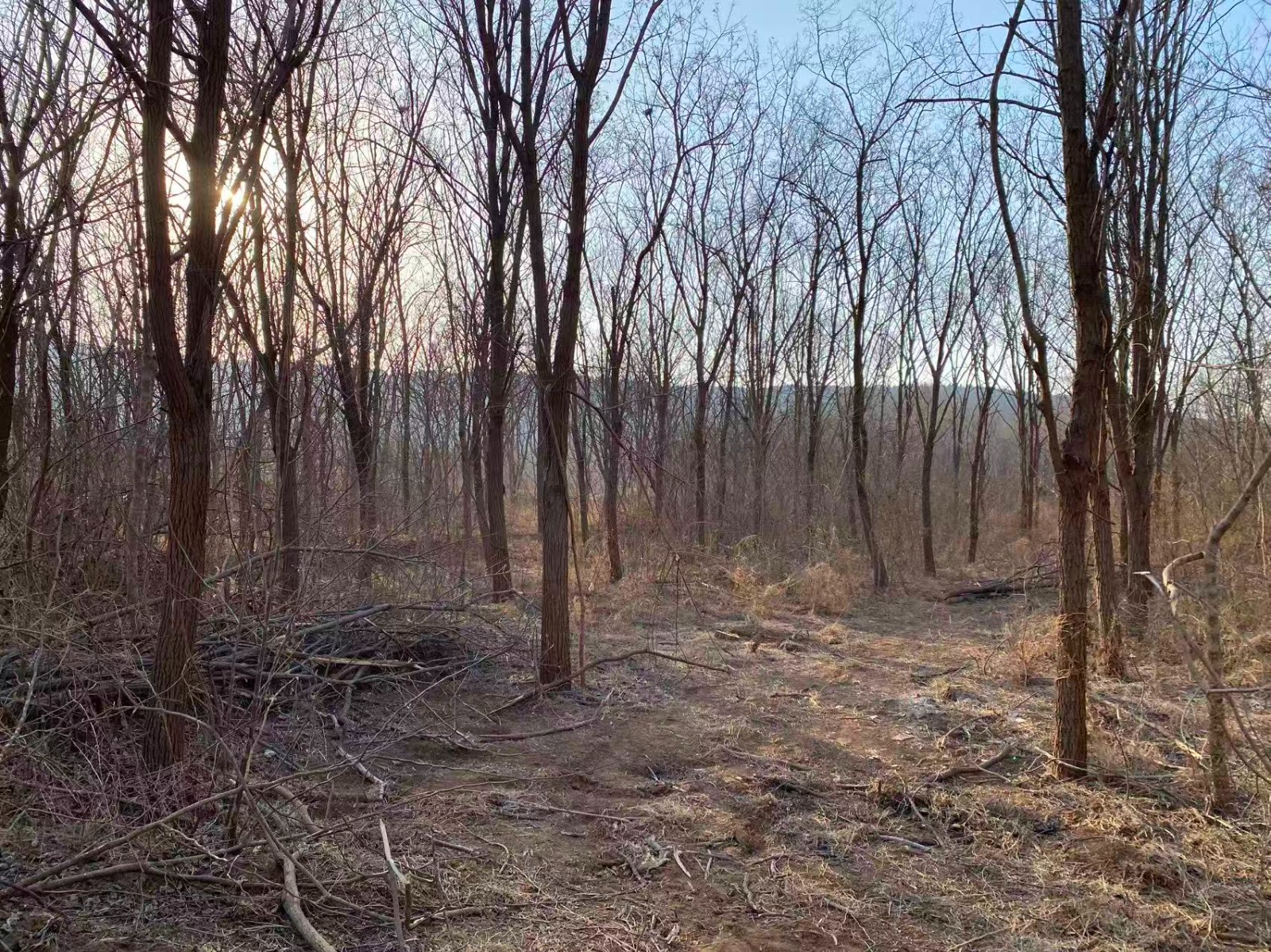 /Upload/Product/aab12ddb85b8409f8563ee4885974d38.jpg?width=200&height=148&bgcolor=fff