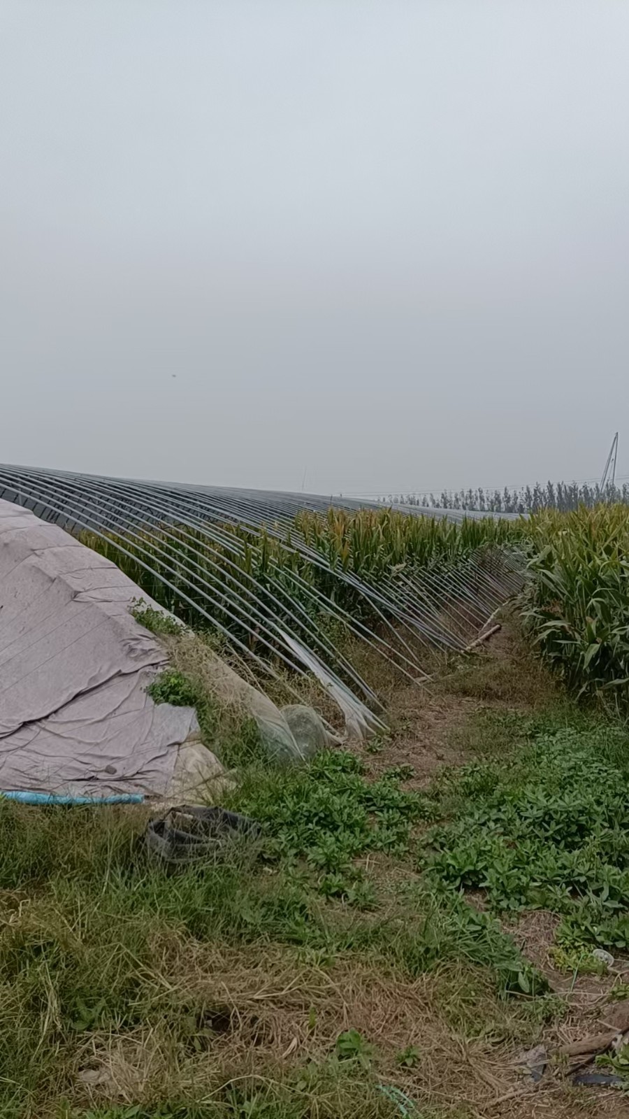 /Upload/Product/b1cabb993e694fc290a9b3b550a6f62f.jpg?width=272&height=203&bgcolor=fff