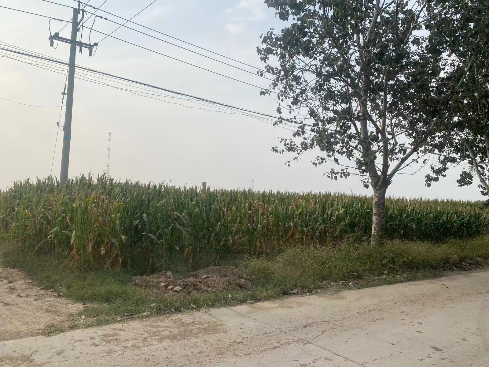 /Upload/Product/b47693d11c7048d0821d231235d6cee3.jpg?width=272&height=203&bgcolor=fff