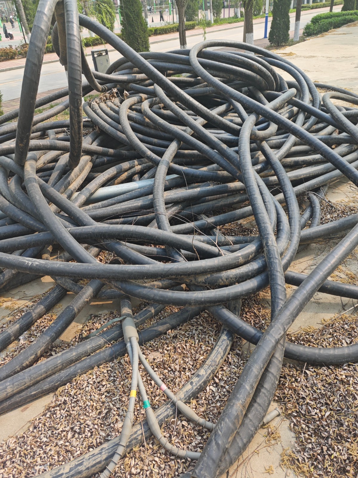 /Upload/Product/b72a08939c894a3aab66e95cdbf500ae.jpg?width=272&height=203&bgcolor=fff