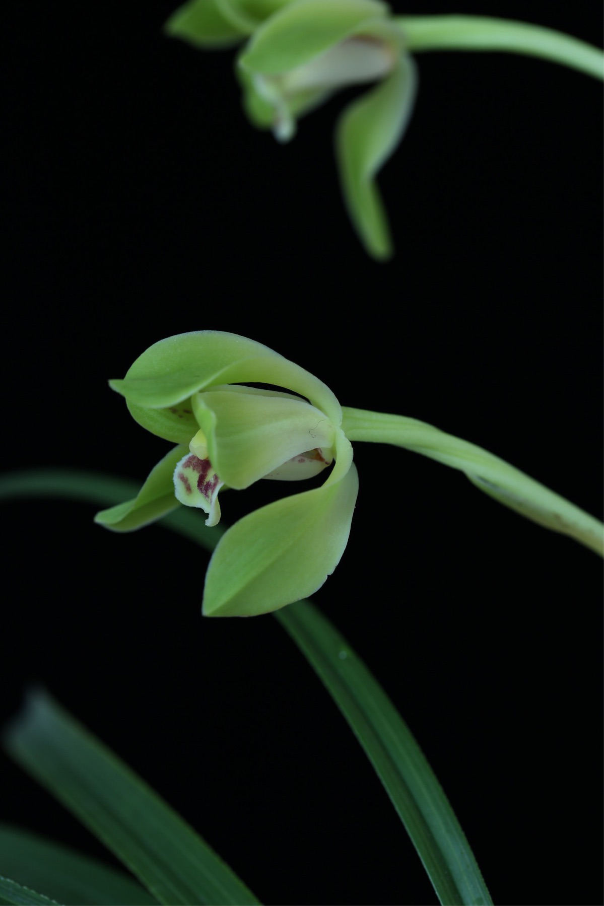 /Upload/Product/b880b53f47b84fc691c2210760876ec8.png?width=272&height=203&bgcolor=fff