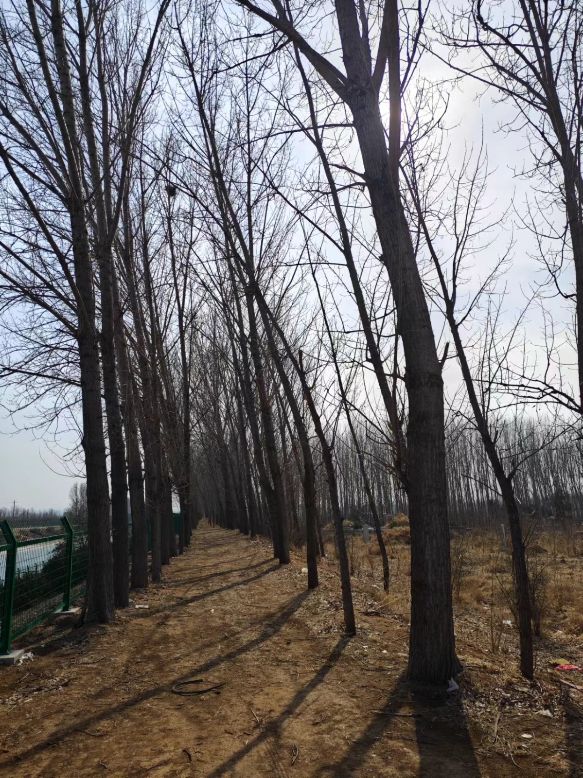 /Upload/Product/b8c8368190ed4bf499f635a45074f8f6.jpg?width=272&height=203&bgcolor=fff