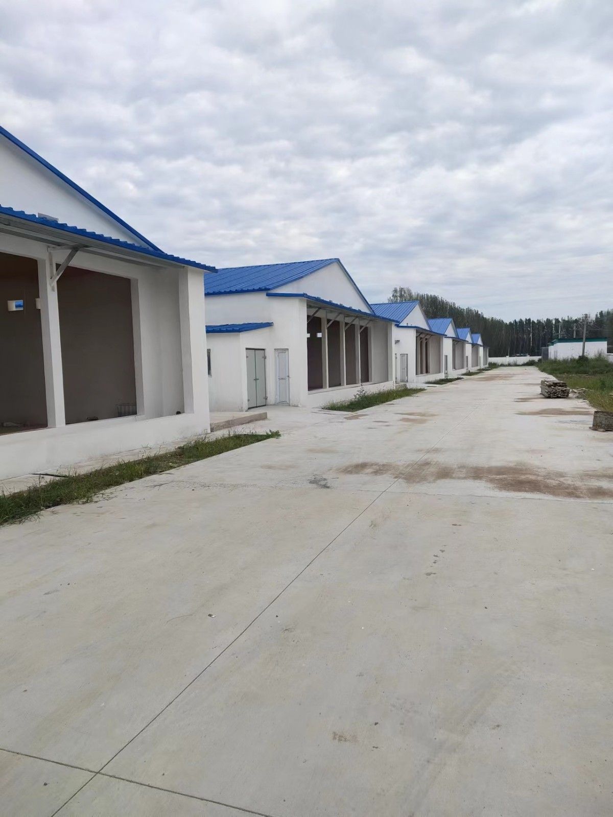 /Upload/Product/bfc0e4af5b624d37834ed0f3409cfdba.jpg?width=272&height=203&bgcolor=fff