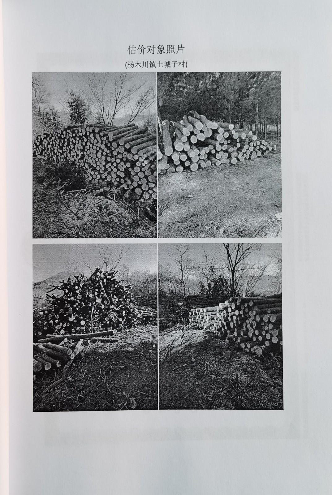 /Upload/Product/c1dabd7f164c4bf7a2ee19c8ed4435ac.jpg?width=272&height=203&bgcolor=fff