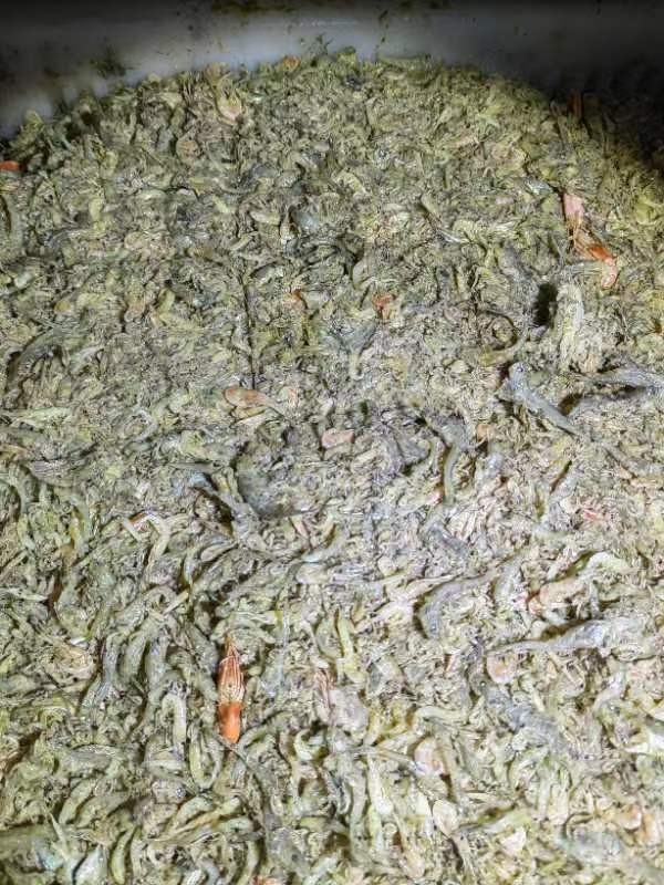 /Upload/Product/cd33101b5fd64760a692ef2961e35dd5.jpg?width=272&height=203&bgcolor=fff