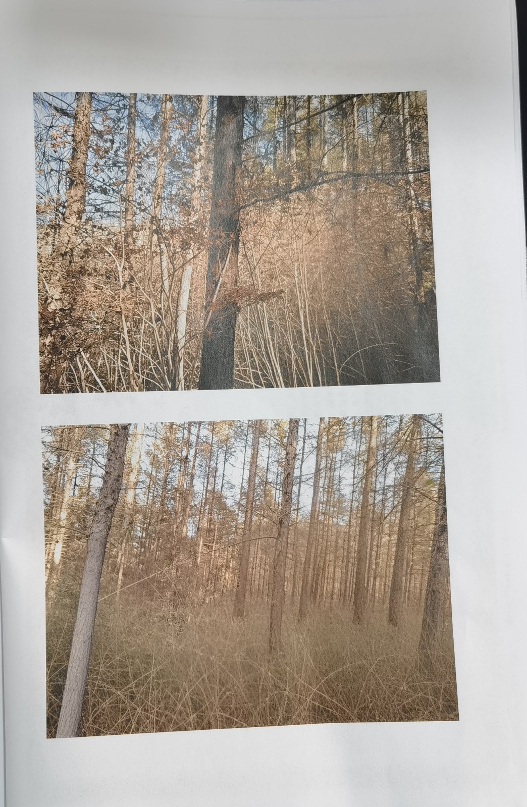 /Upload/Product/d0e49567bc7f48629f21be09d88095e1.jpg?width=272&height=203&bgcolor=fff