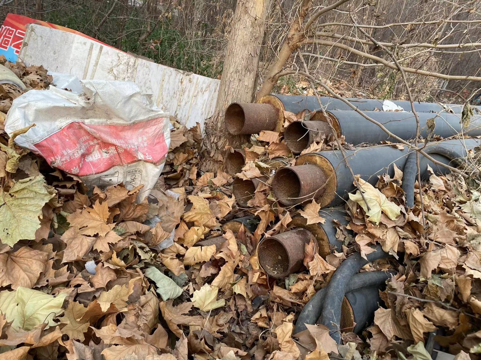 /Upload/Product/d31ee5e3606643f487956c9e5aa41488.jpg?width=272&height=203&bgcolor=fff