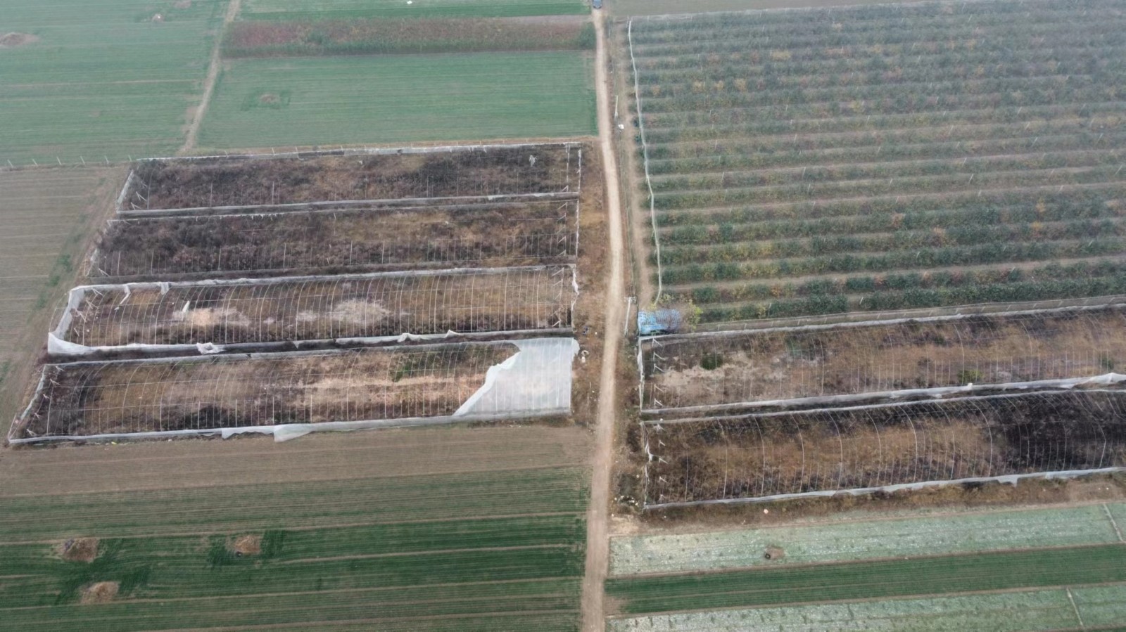 /Upload/Product/d798468e086f45c09920cbc2fb3f3178.jpg?width=272&height=203&bgcolor=fff