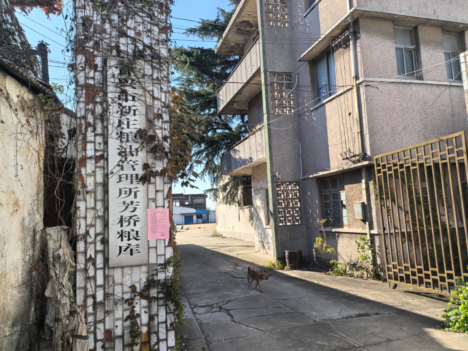 /Upload/Product/d818040f252d443d8283beef529db20c.jpg?width=272&height=203&bgcolor=fff