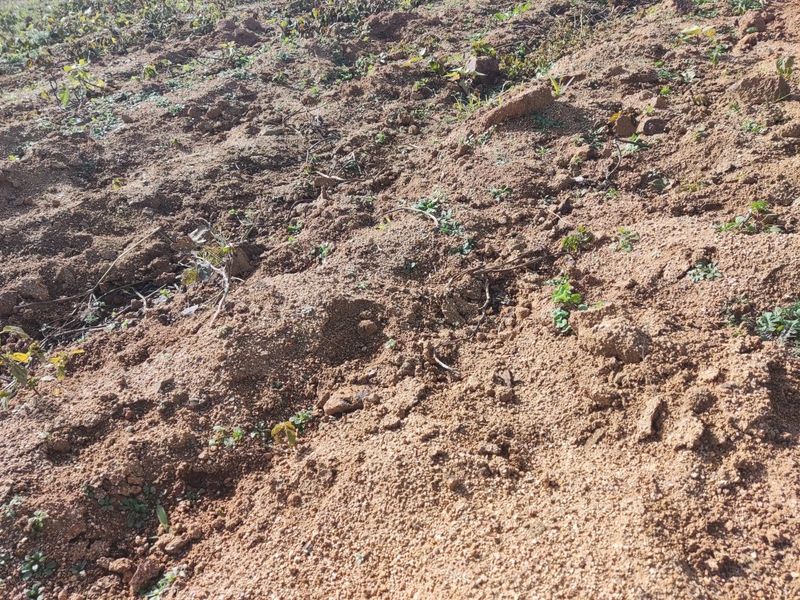 /Upload/Product/dca88e463cf44867a6c92a596ba0ab68.jpg?width=272&height=203&bgcolor=fff