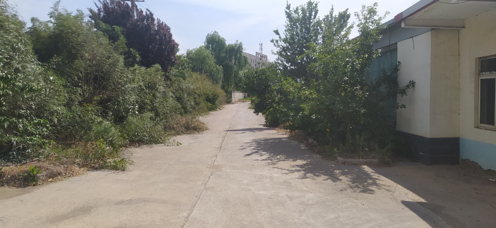 /Upload/Product/e474bdf9ad0c44339cd18ec1dc6e4ccb.jpg?width=272&height=203&bgcolor=fff