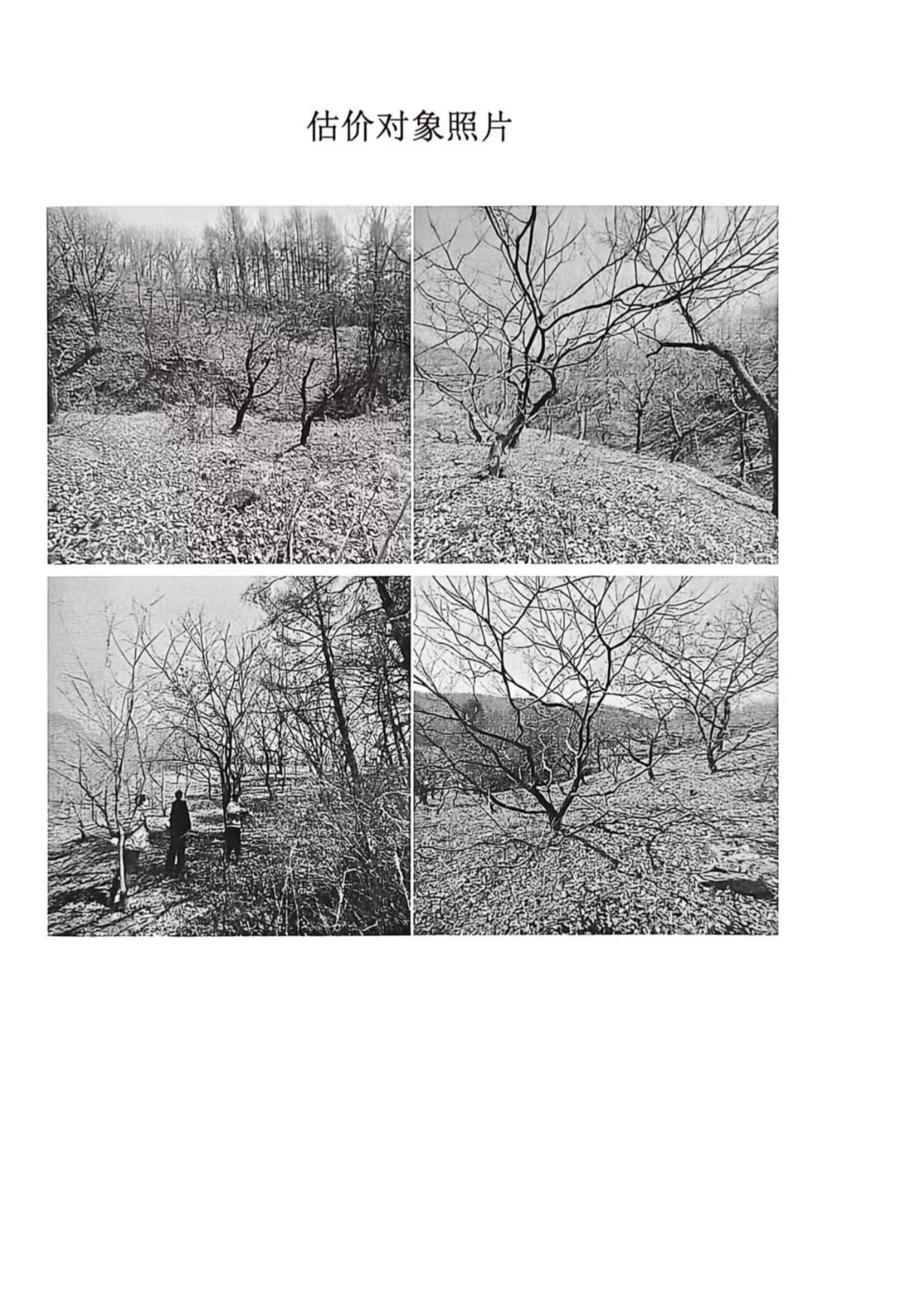 /Upload/Product/e6bde48d6b81419aa8dedbc49f689b00.jpg?width=272&height=203&bgcolor=fff