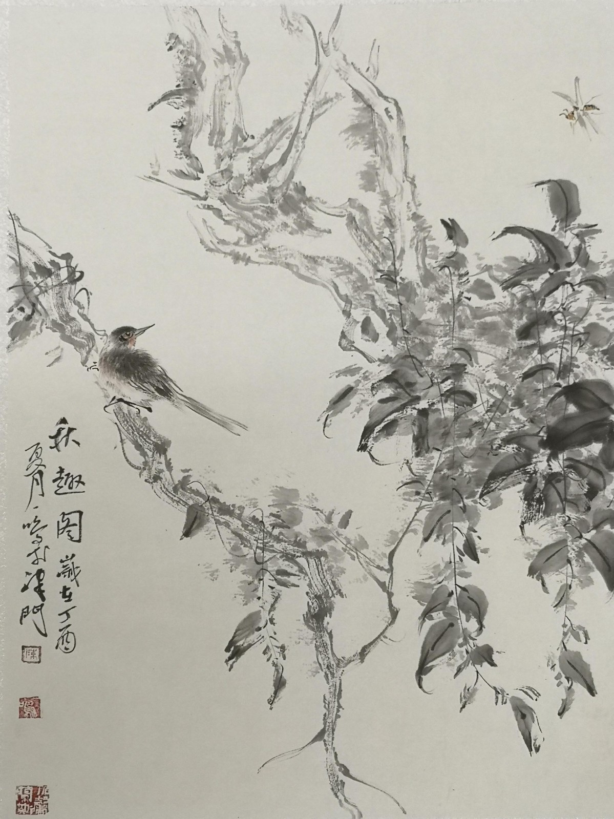 /Upload/Product/ec5d5122dba54dd48006473c696b01f8.jpg?width=200&height=1483&bgcolor=fff