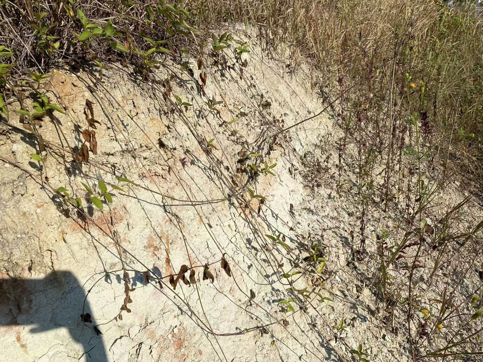 /Upload/Product/ecf9f61ea9ab4bc9808982eafb96f0e6.jpg?width=272&height=203&bgcolor=fff