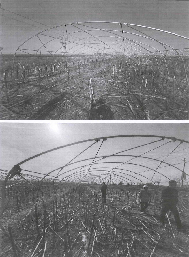 /Upload/Product/edd9737fbc314ab3b3f49406013243d4.png?width=272&height=203&bgcolor=fff