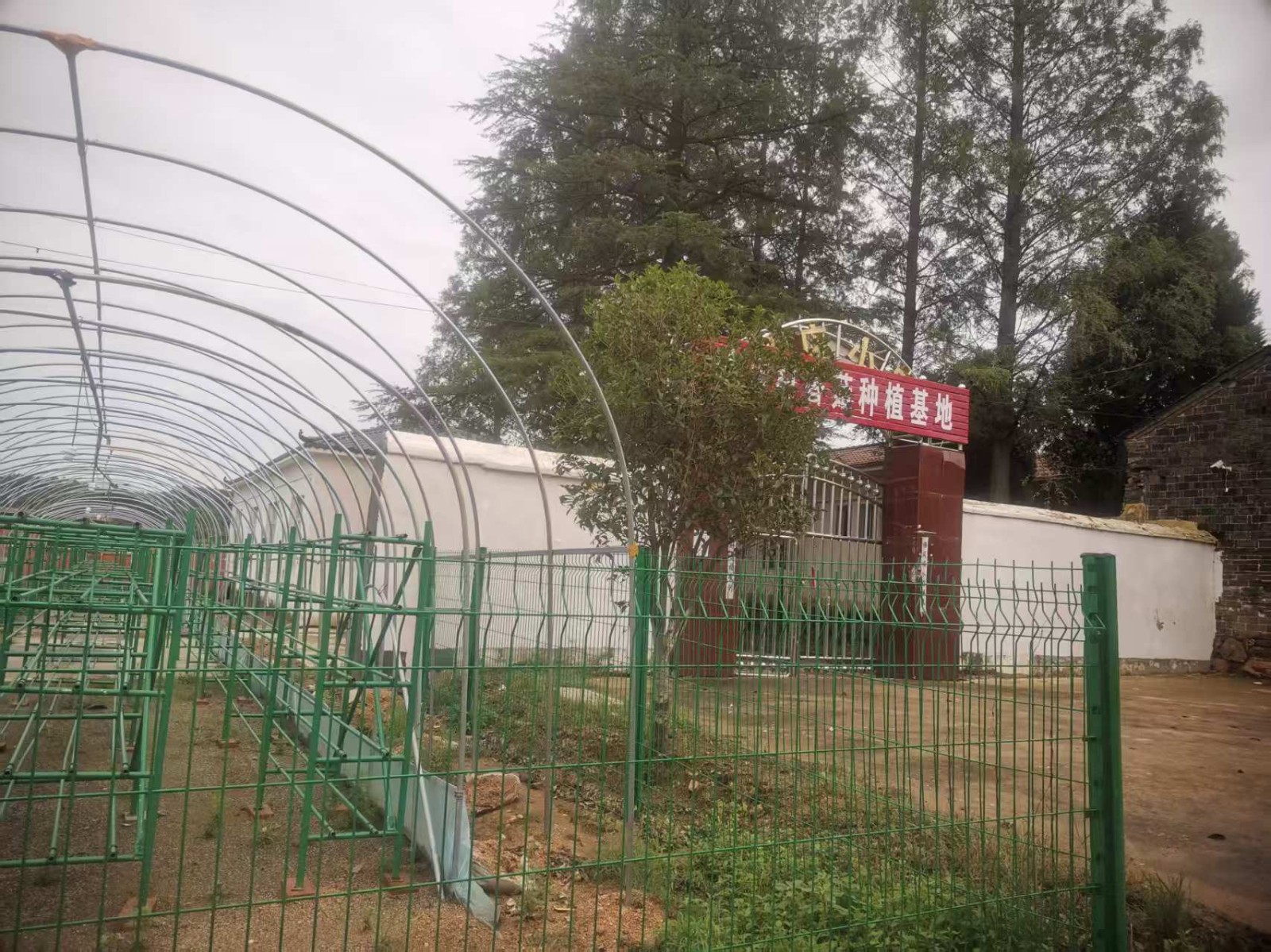 /Upload/Product/f505c77bb67b4863a502ab830cc0b637.jpg?width=272&height=203&bgcolor=fff