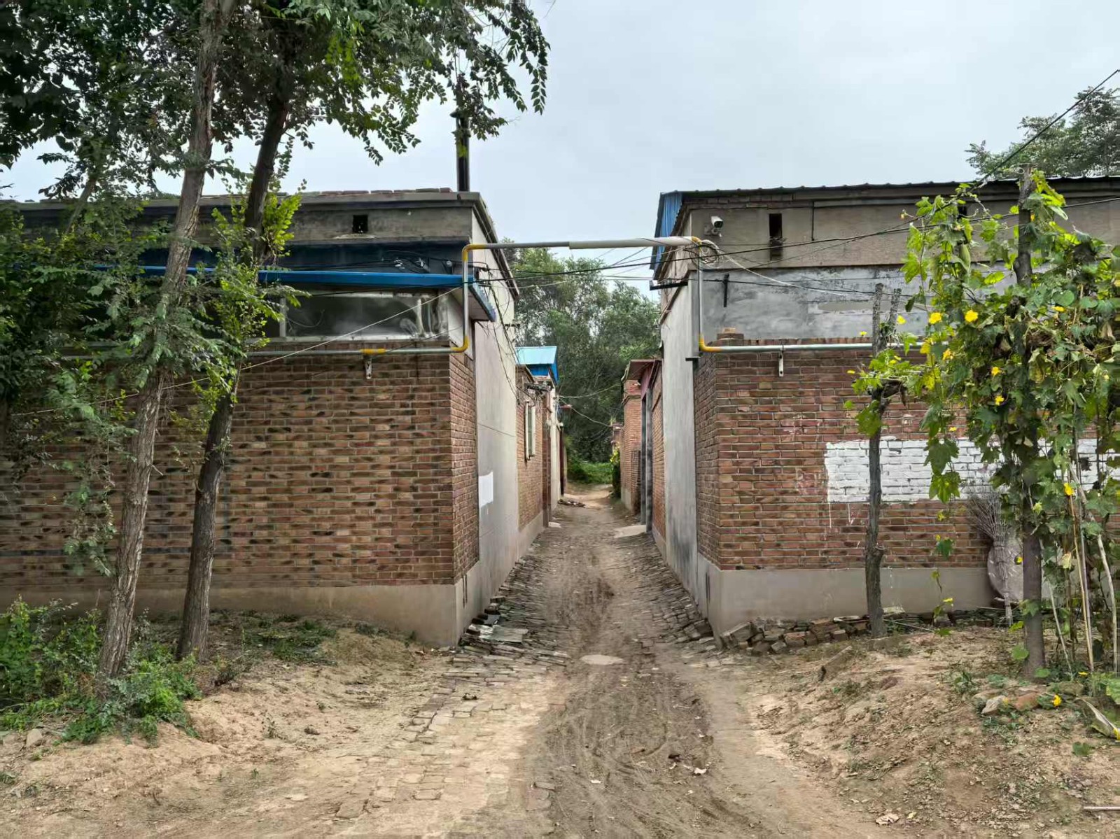 /Upload/Product/f6bc23851e0f4bb08fc00504d258c2f7.jpg?width=272&height=203&bgcolor=fff