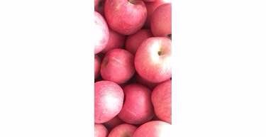 /Upload/Product/f96ac918279f4629bcb4634e9adeb1aa.jpg?width=272&height=203&bgcolor=fff