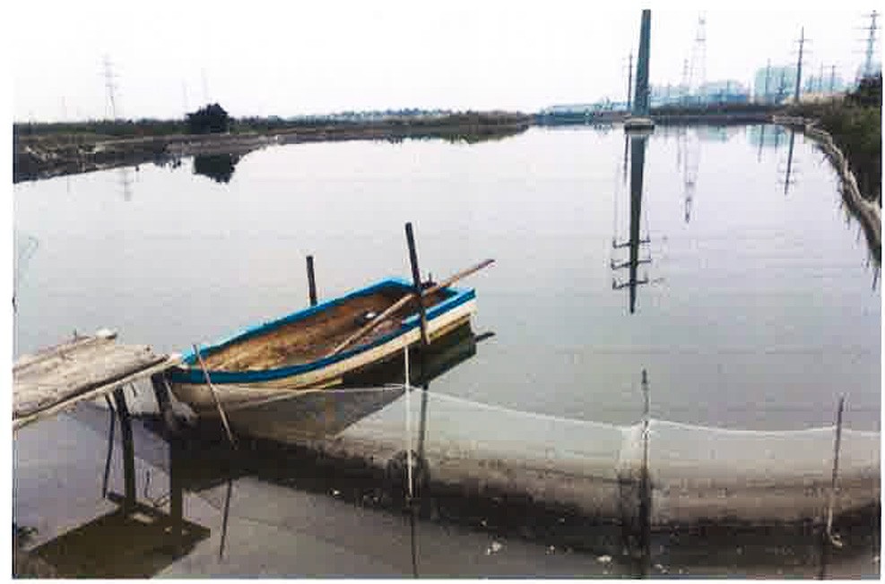 /Upload/Product/fd33c7adc9e348fa9c515d9c8b000579.jpg?width=272&height=203&bgcolor=fff