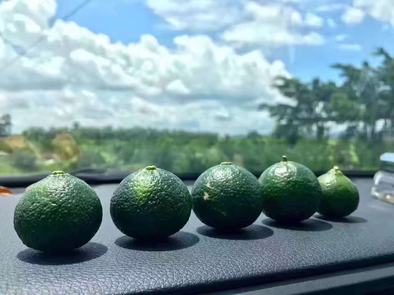 gjs1.jpeg gjs1.jpeg