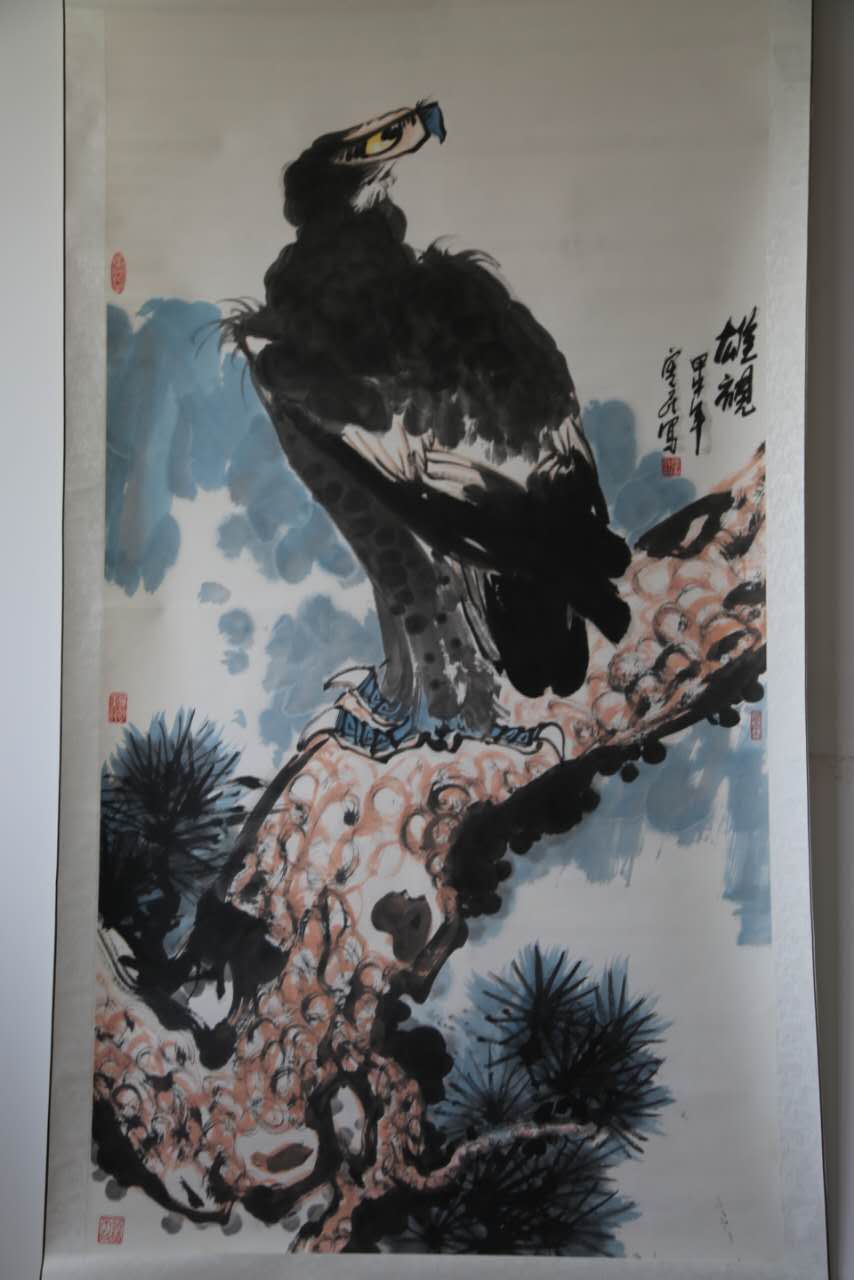 雄视.jpg 雄视.jpg