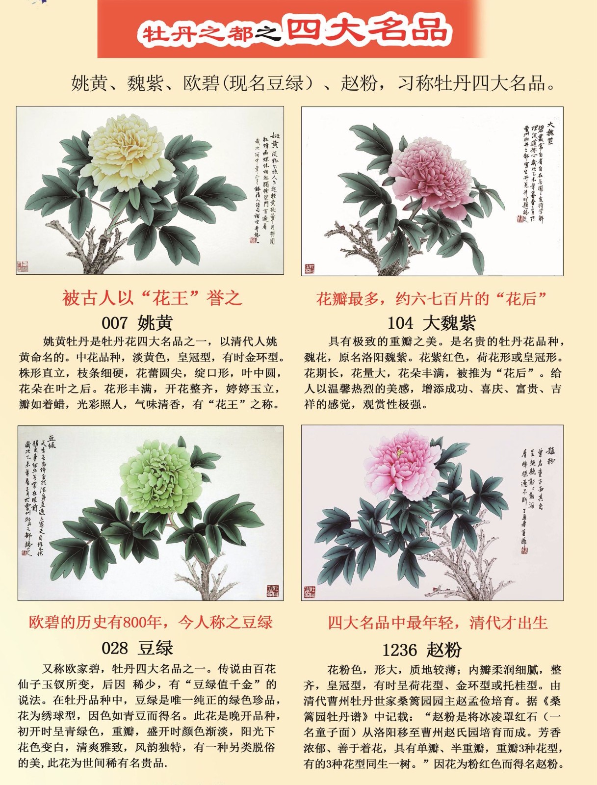 201703四大名品_看图王.jpg 201703四大名品_看图王.jpg