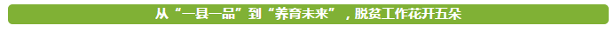 微信截图_20180714153938.png