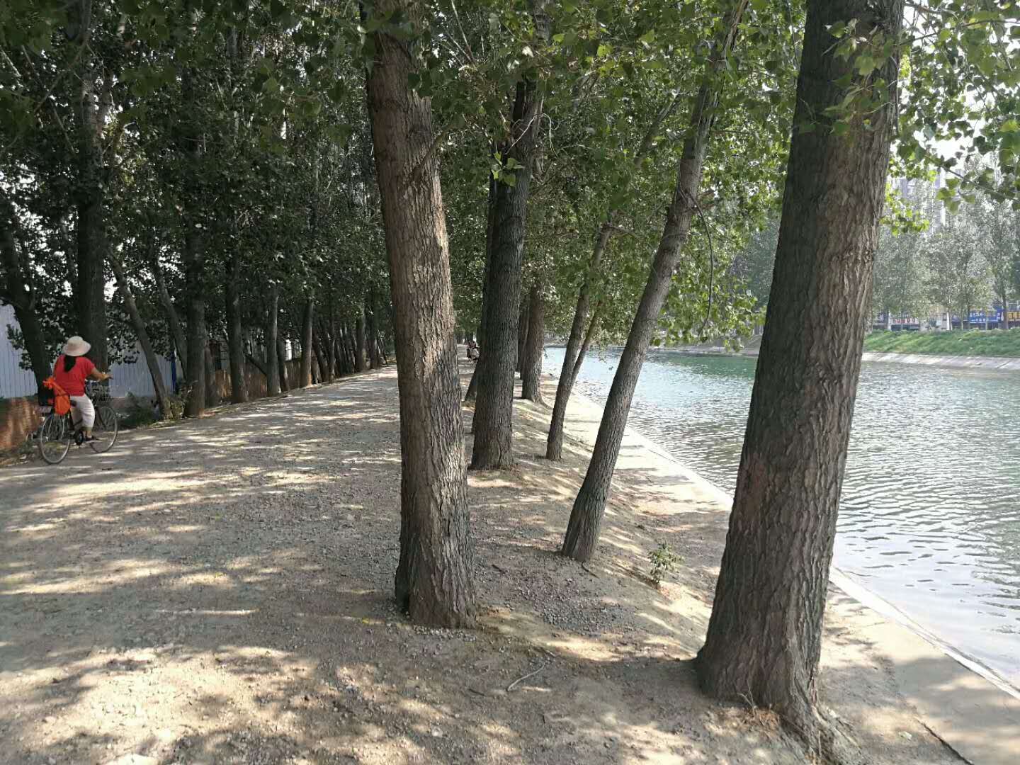 微信图片_20180720090802.jpg