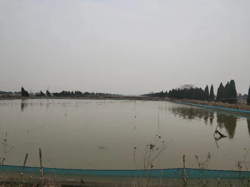 微信图片_20191218083908.jpg