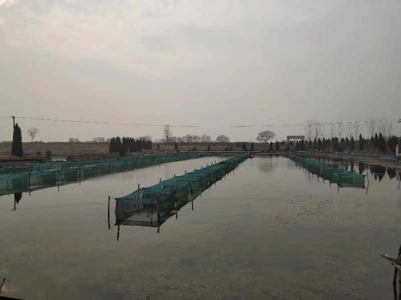 微信图片_20191218083911.jpg