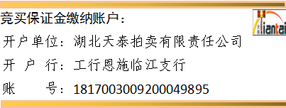13.png